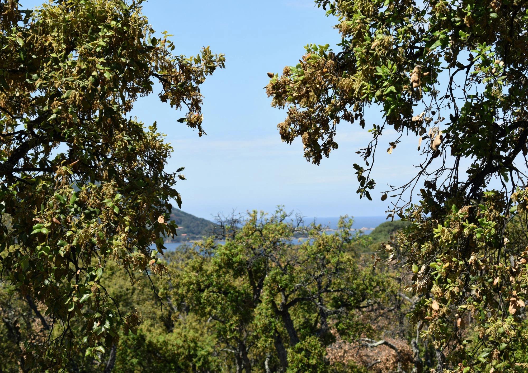 Alt à définir